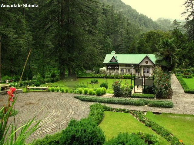 Traveltoexplore Kasauli Package